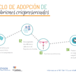 Consejos de un psicólogo para parejas en adopción de embriones