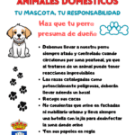 Consejos para convivir armoniosamente con tu mascota