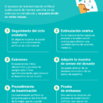 Consejos para parejas en adopción de esperma Navegar el proceso
