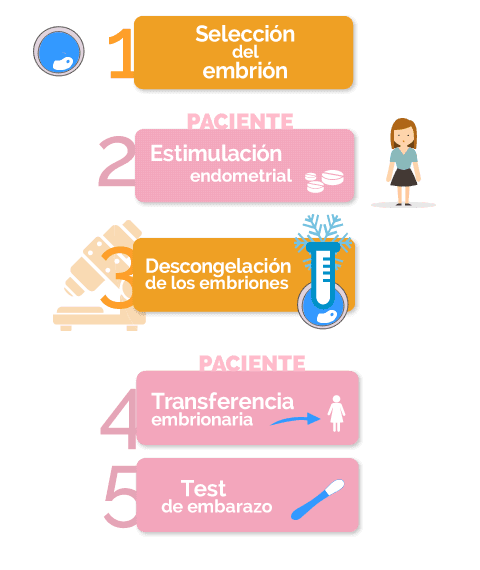 Consejos para una adopción de embriones saludable