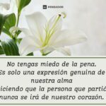 Consuelo en frases para recordar a un ser querido
