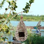 Convivencia armónica con un nido de pájaros en casa