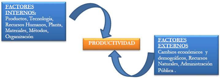 Cooperación y productividad laboral un análisis del impacto