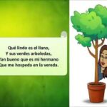 Coplas Tradicionales de Colombia Tesoro Cultural en Versos