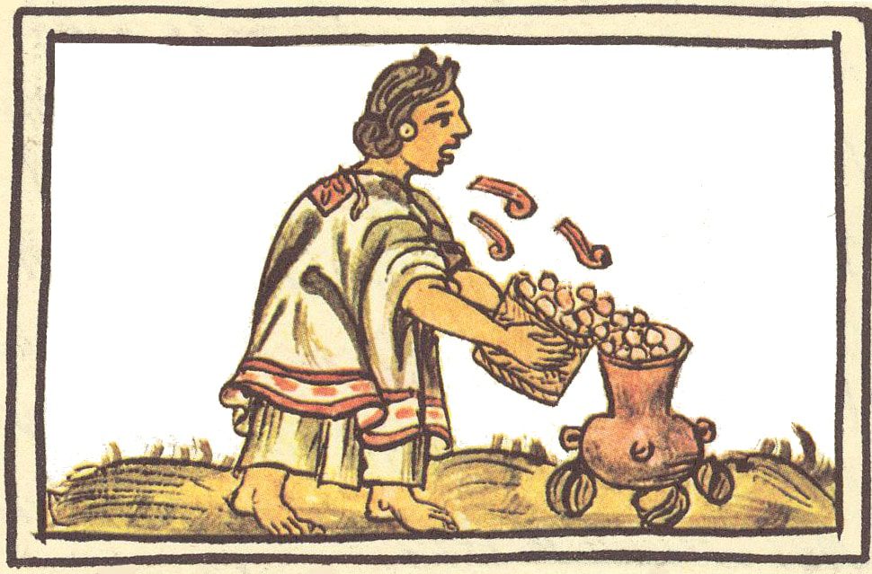 Cultivos ancestrales Secretos de la agricultura zapoteca