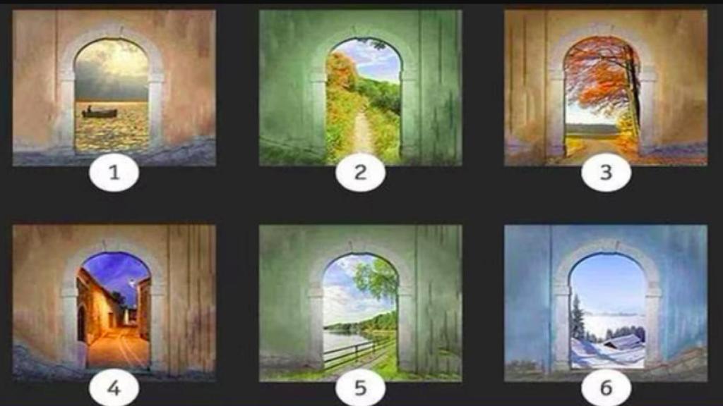 Descubre tu camino El test definitivo para saber qué hacer
