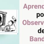 El aprendizaje por observación en la sociedad