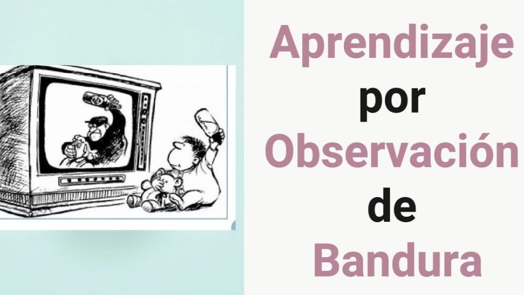 El aprendizaje por observación en la sociedad | PSICOLOGÍANOVA
