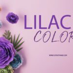 El encanto del violeta claro elegancia y versatilidad
