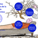 El rol del terapeuta en terapia psicodinámica