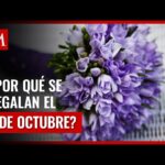 El significado onírico de las flores moradas visión optimizada