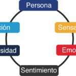 Emoción y comportamiento cooperativo una influencia significativa