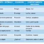 Emociones básicas y comportamiento del consumidor una influencia clave