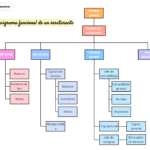 Estructura Optimizada del Restaurante Bar Organigrama para el Éxito