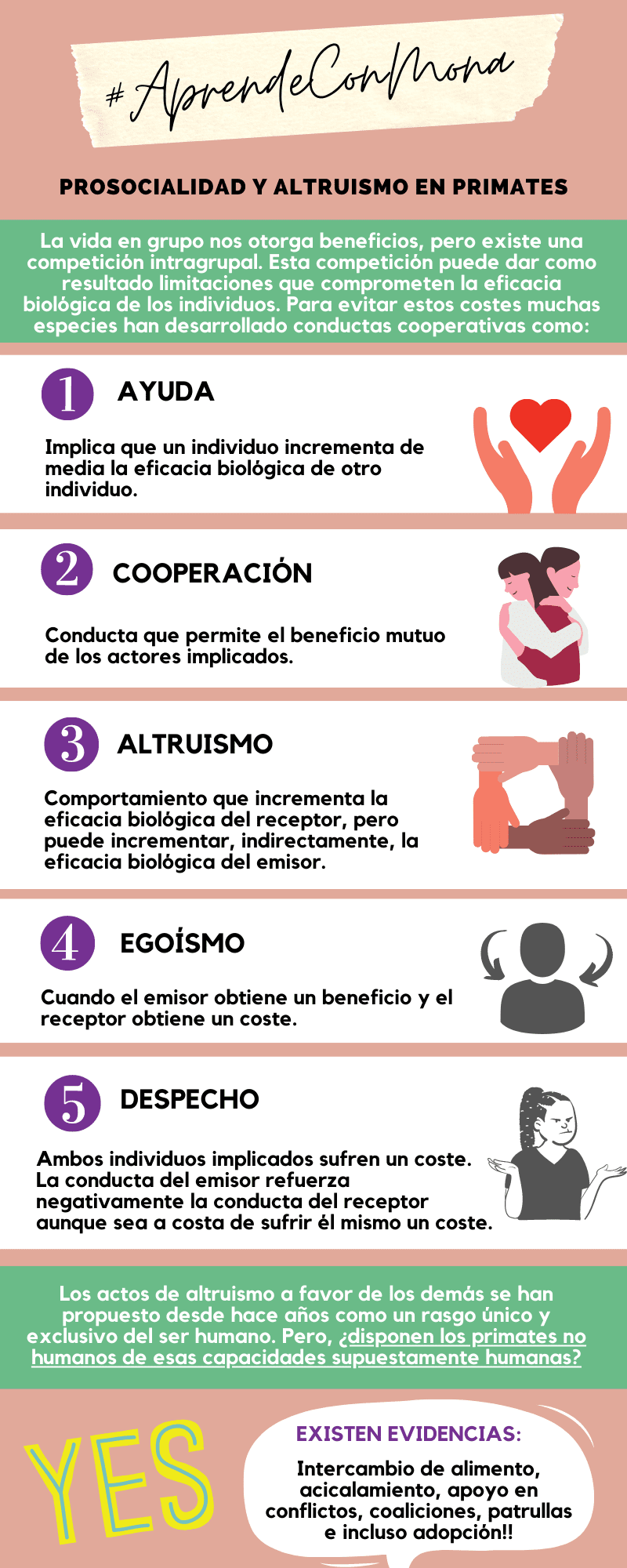 Evolución del altruismo humano