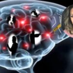 Factores biológicos en la agresión humana