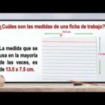 Ficha bibliográfica análisis conciso y optimizado