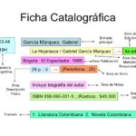 Ficha catalográfica concepto utilidad y organización de la información