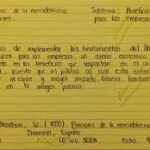 Ficha de Síntesis Guía Práctica -> Guía Práctica