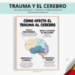 Fobias Cómo el trauma afecta nuestra mente
