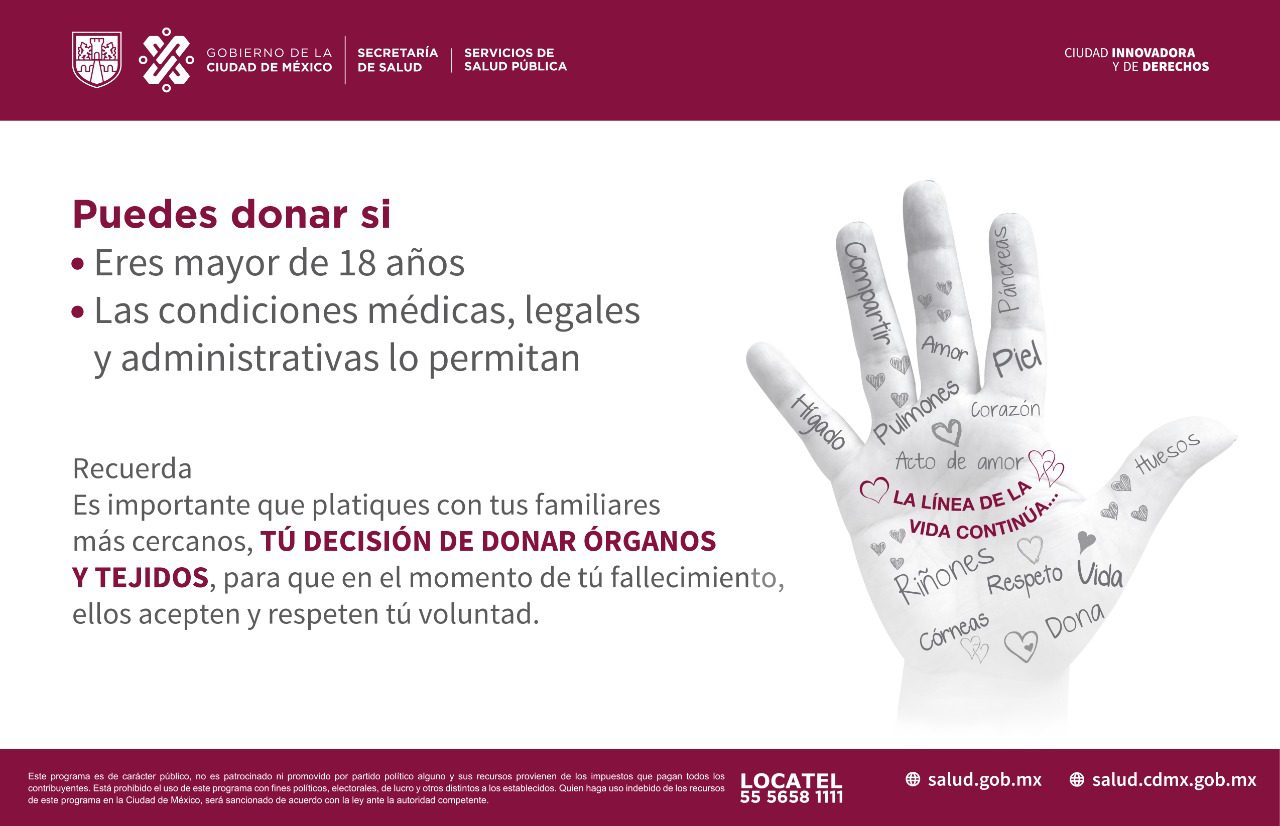 Fortaleciendo el vínculo en la donación de útero Consejos