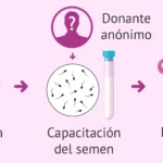 Fortaleciendo la conexión en adopción de esperma
