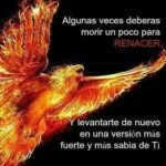 Frase del Ave Fénix Renace y Supera Obstáculos
