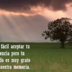 Frases cortas en memoria de seres queridos