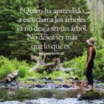 Frases inspiradoras sobre plantas para conectar con la naturaleza