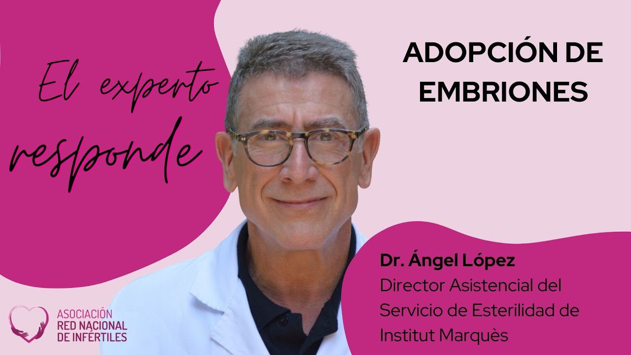 Guía completa de experto en adopción de embriones