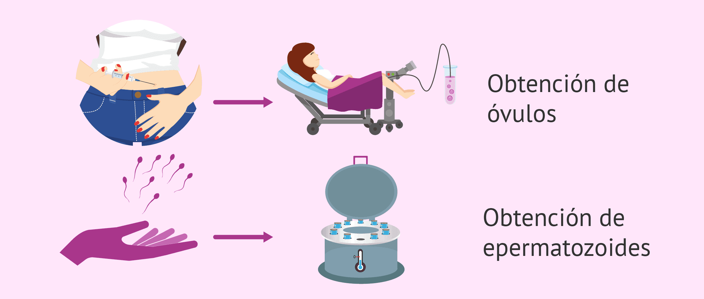 Herramientas psicológicas para adopción de esperma exitosa