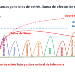 Imitación en situaciones de estrés análisis conciso