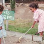 Impacto de la cultura en el comportamiento prosocial