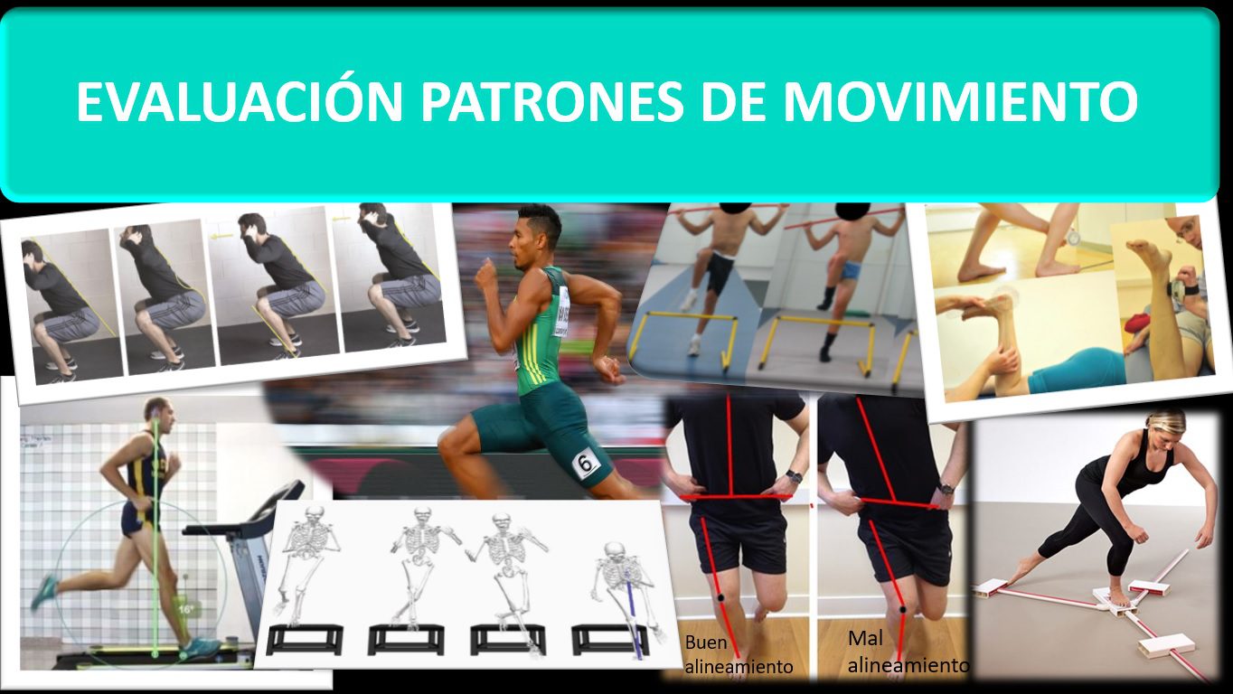 Importancia del movimiento en la terapia Enfoque optimizado