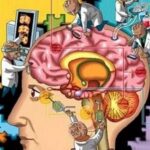 Influencia de la personalidad en el comportamiento humano