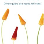 Integrando Mindfulness en la Vida Diaria