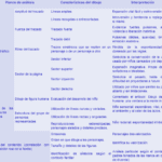 Interpretación del Test de Familia Claves para Análisis Eficiente