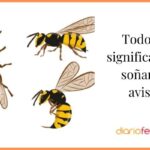 Interpretación sueños con avispas revoloteando