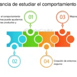 La edad y el comportamiento humano un análisis profundo