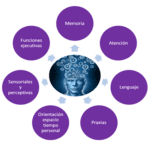 La Función Cognitiva Significado y Aplicaciones