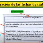 La función de una ficha de trabajo Todo sobre ella