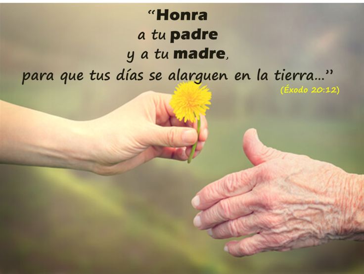 La hija que honra a su padre con amor