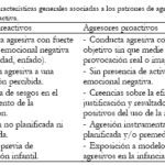 La impulsividad y el comportamiento de riesgo Un análisis