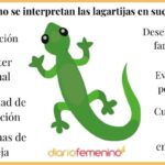 La lagartija en la Biblia su simbolismo y significado