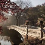 Lugares perfectos para pedir matrimonio