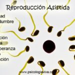Manejo de la presión emocional en tratamientos de reproducción asistida