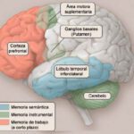Memoria de reconocimiento trastorno y soluciones