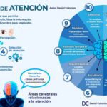 Optimiza tu enfoque con atención dividida y selectiva
