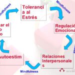 Optimización de la psicoterapia para el TDP