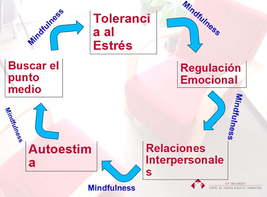 Optimización de la psicoterapia para el TDP